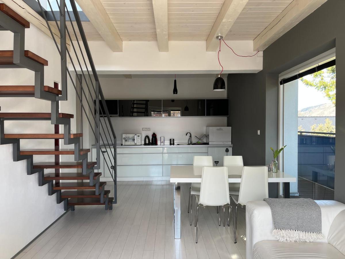Modry Dom Apartment Spisske Bystre ภายนอก รูปภาพ
